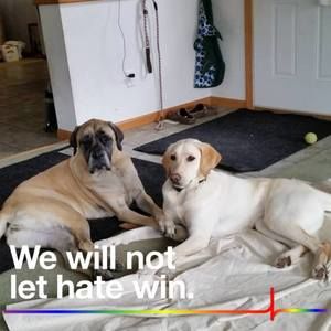 Meet your Posher, Brenda